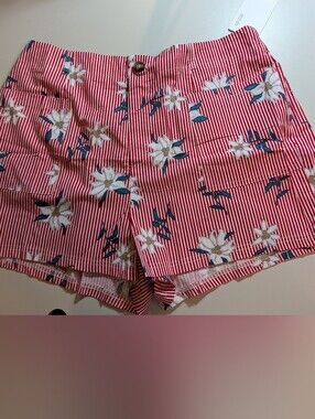 Exlura Woman's 2XL Floral Stripe Women's Shorts - Red